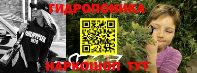 a pvp Усть-Джегута
