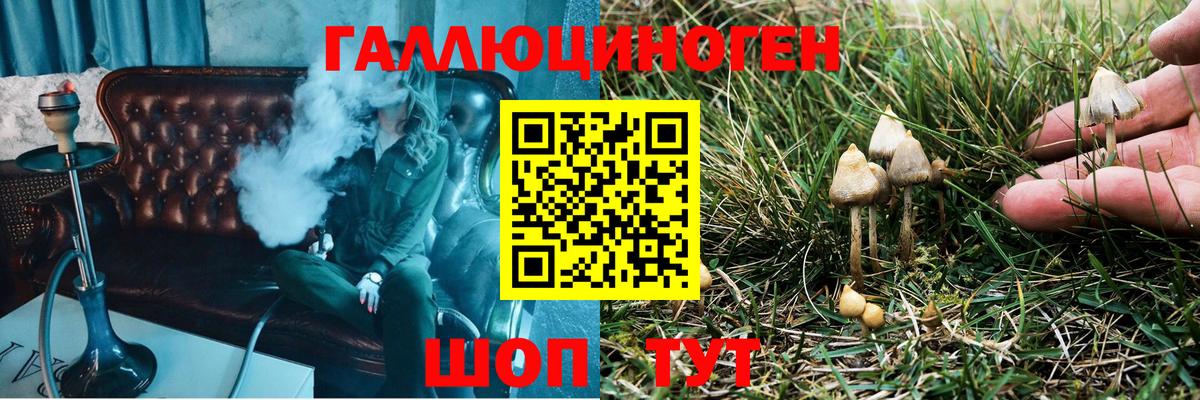 Псилоцибиновые грибы GOLDEN TEACHER  Вход с VPN  Магадан  Галлюциногенные грибы мицелий 